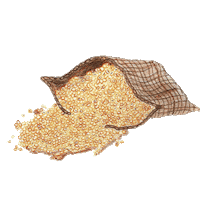 Vegan Protein Sticker by Casa Natural