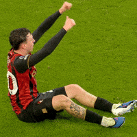 Premier League Ok GIF by AFC Bournemouth