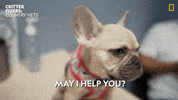 Happy National Geographic GIF by Nat Geo Wild