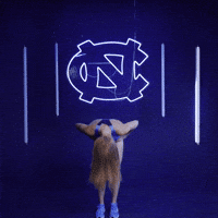 University Of North Carolina Ncaa GIF by UNC Tar Heels