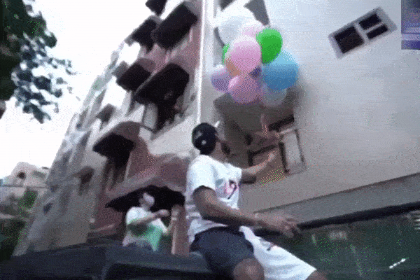 cuteanimalland giphyupload GIF