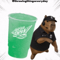 Cat Throwing GIF