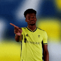 Major League Soccer Football GIF by Nashville SC