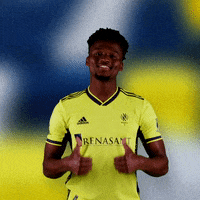Major League Soccer Football GIF by Nashville SC
