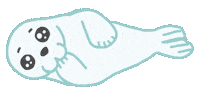 Baby Seal Sticker