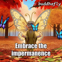 Dance Peace GIF by BuddhaFlyJourney
