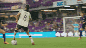 Portland Thorns Sport GIF by National Women's Soccer League