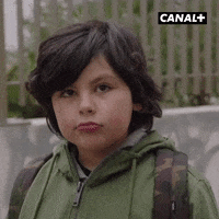 Fun Reaction GIF by CANAL+