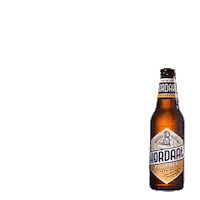 beer cheers Sticker by Lidl Nederland