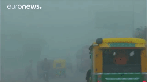 india fog GIF by euronews