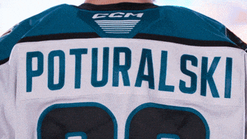 San Jose Celebration GIF