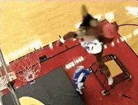 Hip Hop Bunny GIF