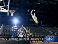 Hip Hop Bunny GIF