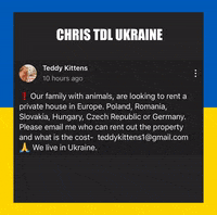 ChrisTDLUkraineSupport love peace help ukraine GIF
