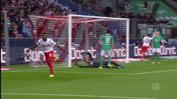 1 Fc Cologne Celebration GIF by 1. FC Köln