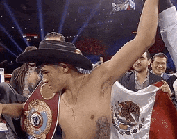 toprank fight fighting espn fighters GIF
