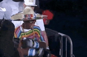 toprank fight fighting espn fighters GIF