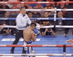 toprank fight fighting espn fighters GIF