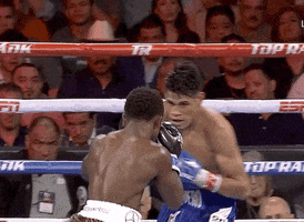 toprank fight fighting espn fighters GIF