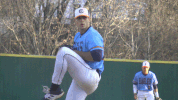 baseball will gardner GIF by Carson-Newman Athletics