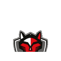 Paralímpico Sticker by Sesi São Paulo
