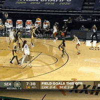 Womens Basketball Wnba GIF by Basketfem