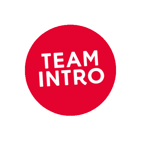 TeamIntro giphyupload uitzendbureau teamintro teamintrowerkcafe Sticker