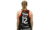 Sport Basketball Sticker by Basket_fi