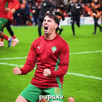 Celebrating Real Madrid GIF