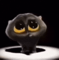 Dancing Cat GIF