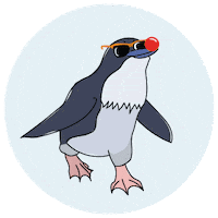 Get Silly Red Nose Day Sticker by Red Nose Australia