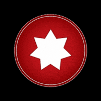 Flag GIF by All Jordan Youth Commission