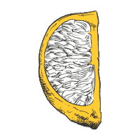 arboreacachaca cachaça limao arborea arboreacachaca Sticker