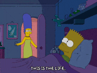 bart simpson episode 3 GIF