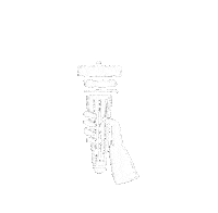 Lady Liberty Sticker by NYC-DSA