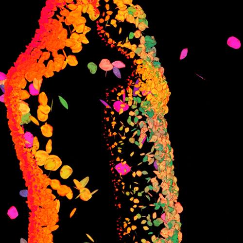 Flowers Feelings GIF by tratti