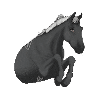 Black Horse Sticker