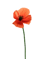 Flower Oerrr Sticker by Natuurmonumenten