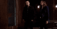 Law And Order Partner GIF by Wolf Entertainment