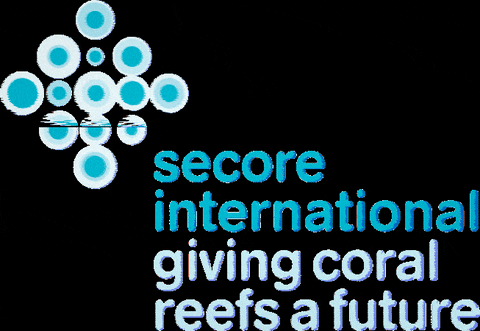 secoreinternational giphygifmaker logo future environment GIF