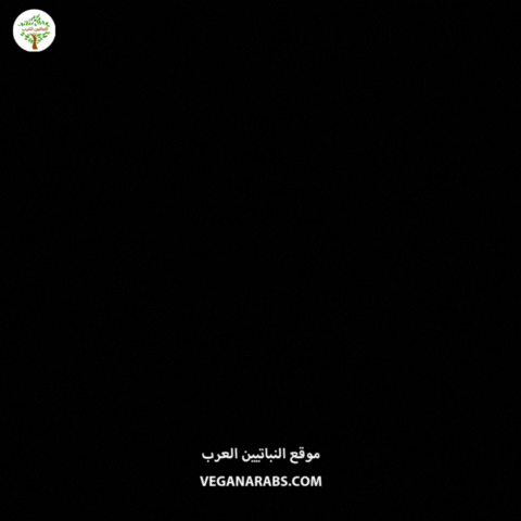 Faith Islam GIF by VeganArabs