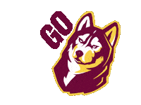 Football College Sticker by Bloomsburg University