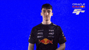 Red Bull Sr GIF by Oracle Red Bull Racing