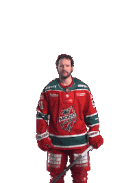 Ice Hockey Hockeyallsvenskan Sticker by MoDo Hockey