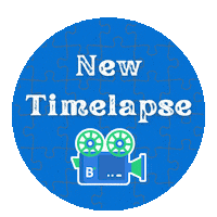 New Video Puzzle Sticker