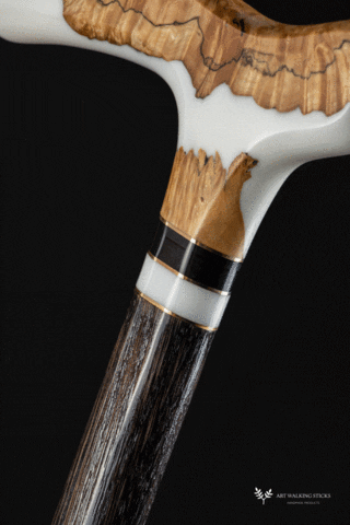 tailorroma giphyupload GIF