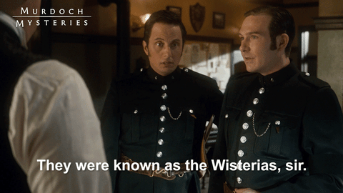 murdoch mysteries mystery GIF