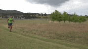 Nrl Snakes GIF by Canberra Raiders