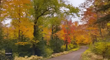 Road Trip Takes in Beautiful Fall Colors in Northern Minnesota