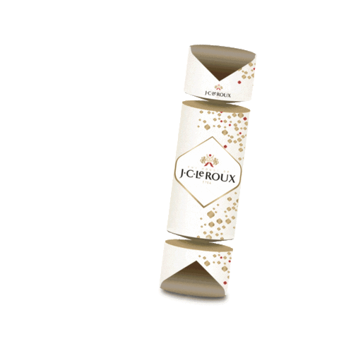 houseofjcleroux cheers champagne optimism cracker Sticker